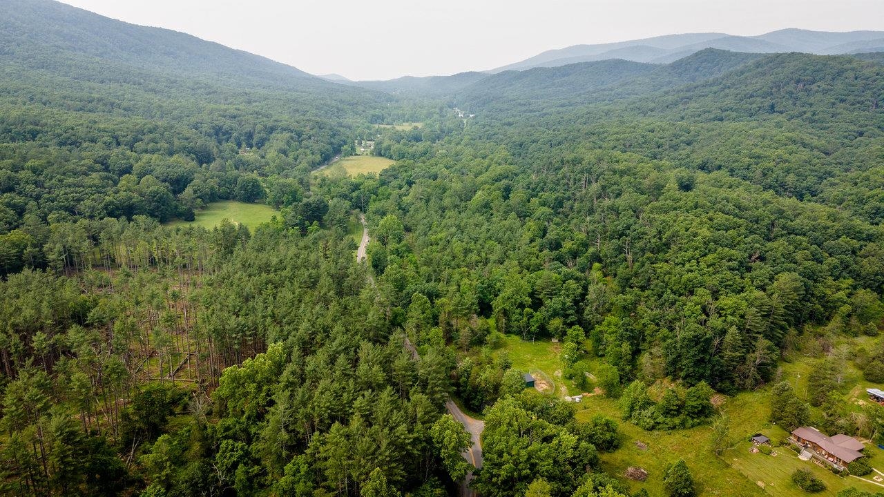 9458 Hopkins Gap Road Fulks Run, VA 22830 - Photo 40 of 74