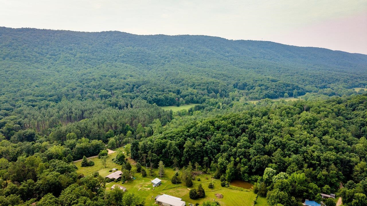 9458 Hopkins Gap Road Fulks Run, VA 22830 - Photo 41 of 74
