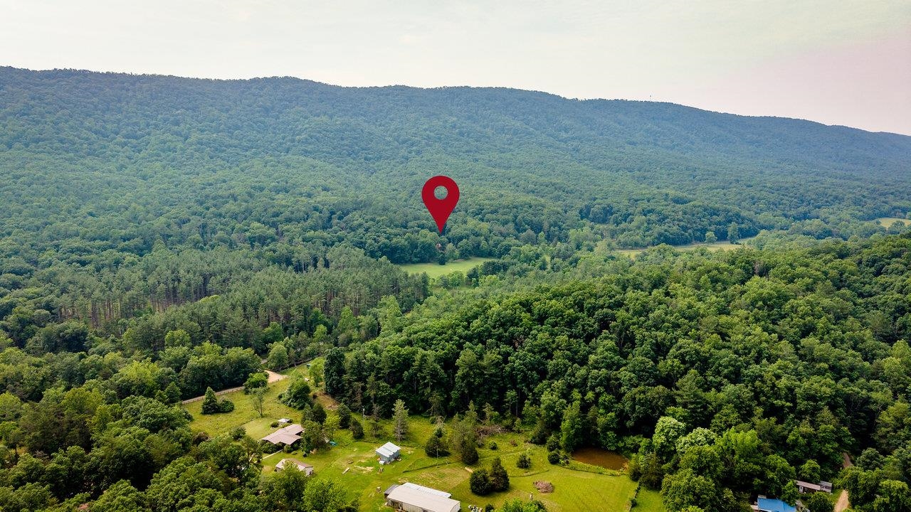 9458 Hopkins Gap Road Fulks Run, VA 22830 - Photo 42 of 74