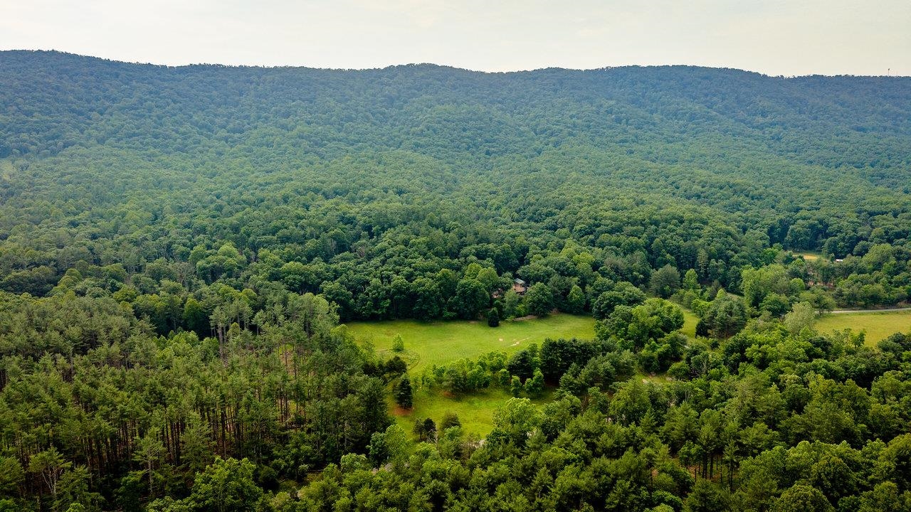 9458 Hopkins Gap Road Fulks Run, VA 22830 - Photo 43 of 74