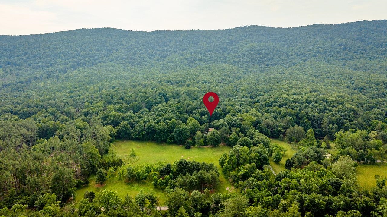9458 Hopkins Gap Road Fulks Run, VA 22830 - Photo 44 of 74