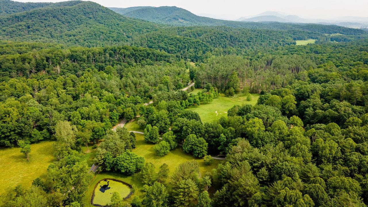 9458 Hopkins Gap Road Fulks Run, VA 22830 - Photo 46 of 74
