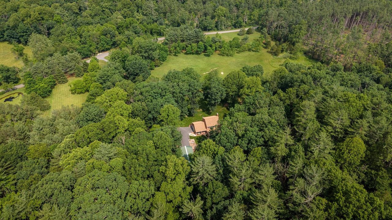 9458 Hopkins Gap Road Fulks Run, VA 22830 - Photo 54 of 74