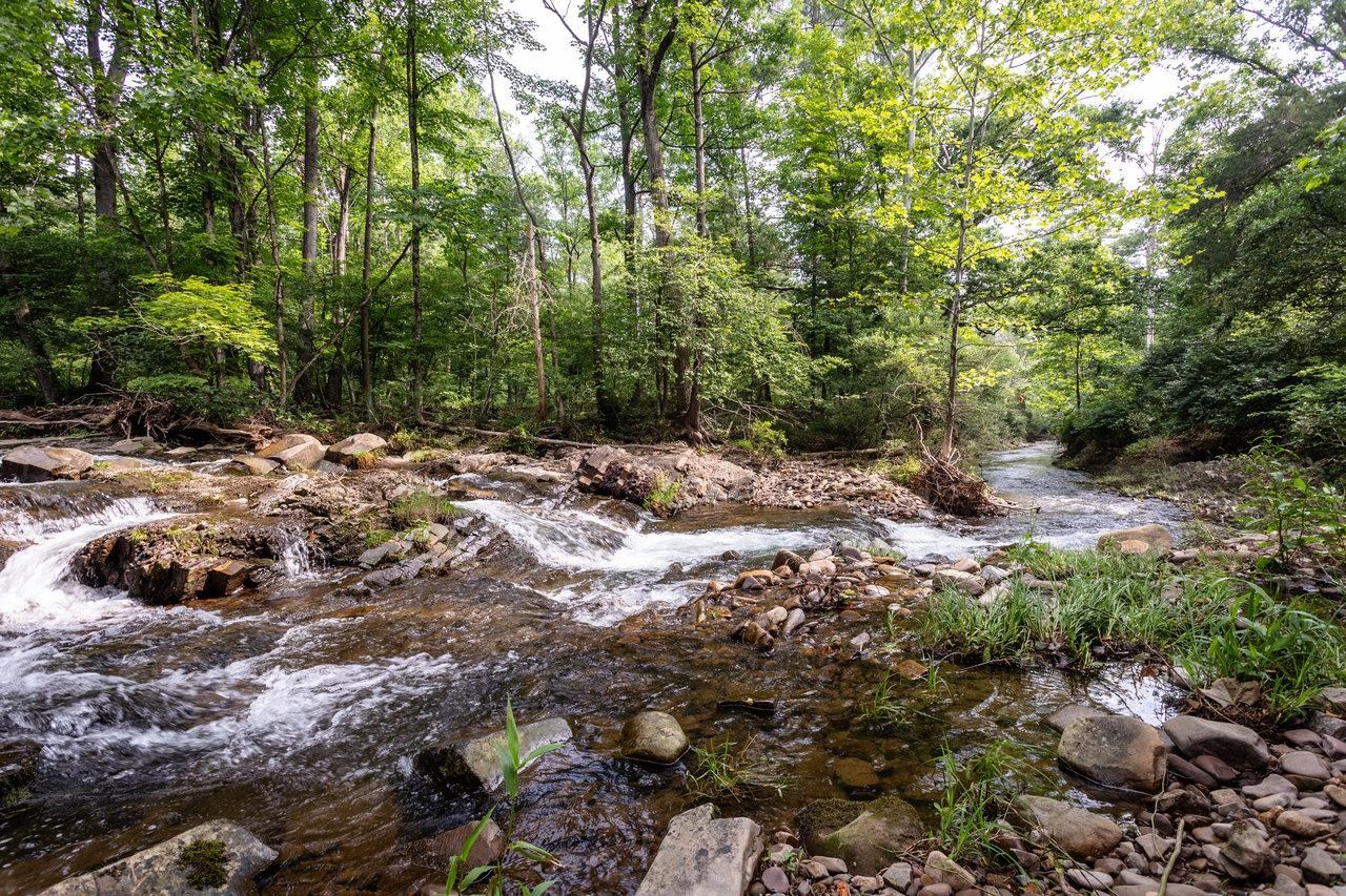 9458 Hopkins Gap Road Fulks Run, VA 22830 - Photo 55 of 74