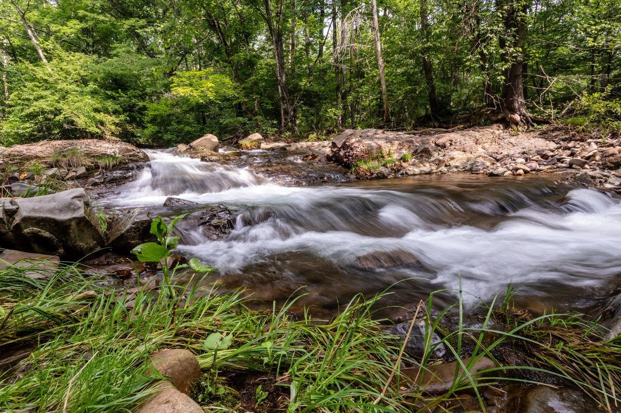 9458 Hopkins Gap Road Fulks Run, VA 22830 - Photo 56 of 74