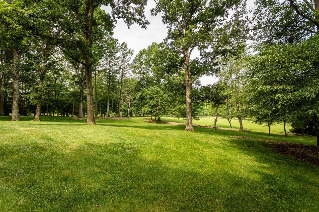 9458 Hopkins Gap Road Fulks Run, VA 22830 - Photo 59 of 74