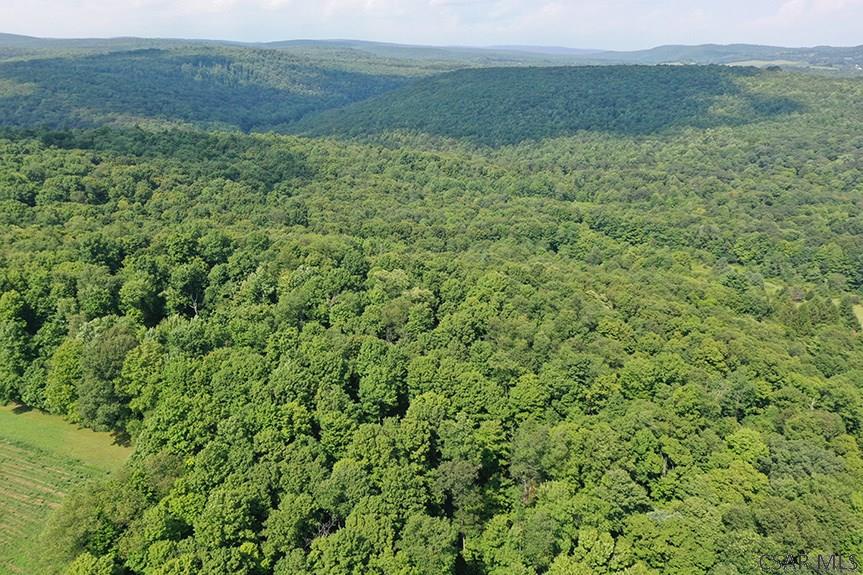 Ridge Road Rockwood, PA 15557 - Photo 15 of 22
