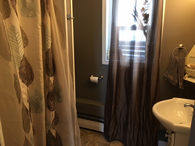 7657 North Luce Road Alma, MI 48801 - Photo 19 of 25 1828908-18.JPG