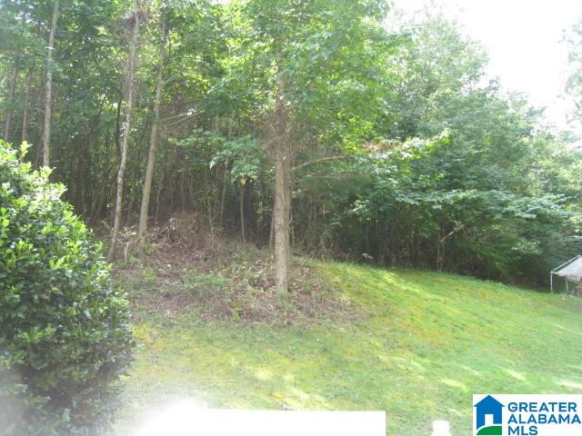 411 Dugout Valley Road Fort Payne, AL 35968 - Photo 26 of 26