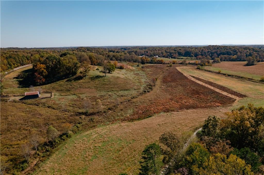 1955 Alec Mountain Road Clarkesville, GA 30523 - Photo 90 of 110