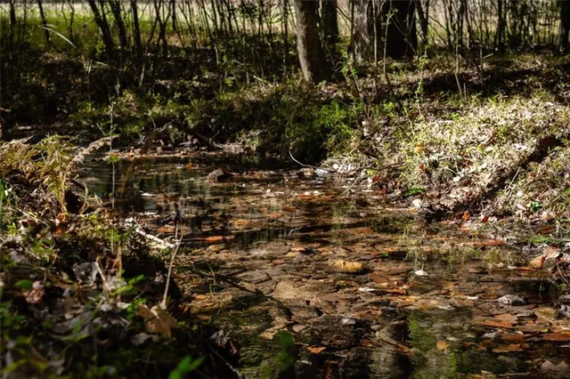 $5,999,000 | 1955 Alec Mountain Road, Clarkesville, GA 30523