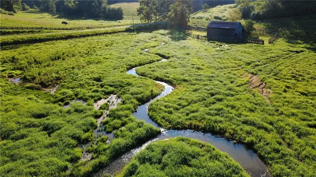 $5,999,000 | 1955 Alec Mountain Road, Clarkesville, GA 30523