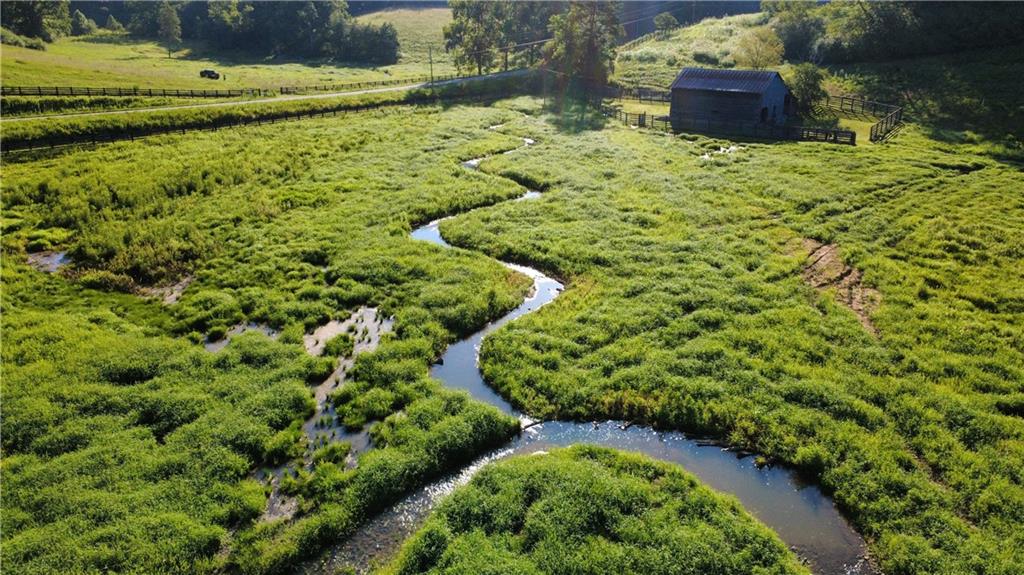 1955 Alec Mountain Road Clarkesville, GA 30523 - Photo 95 of 110