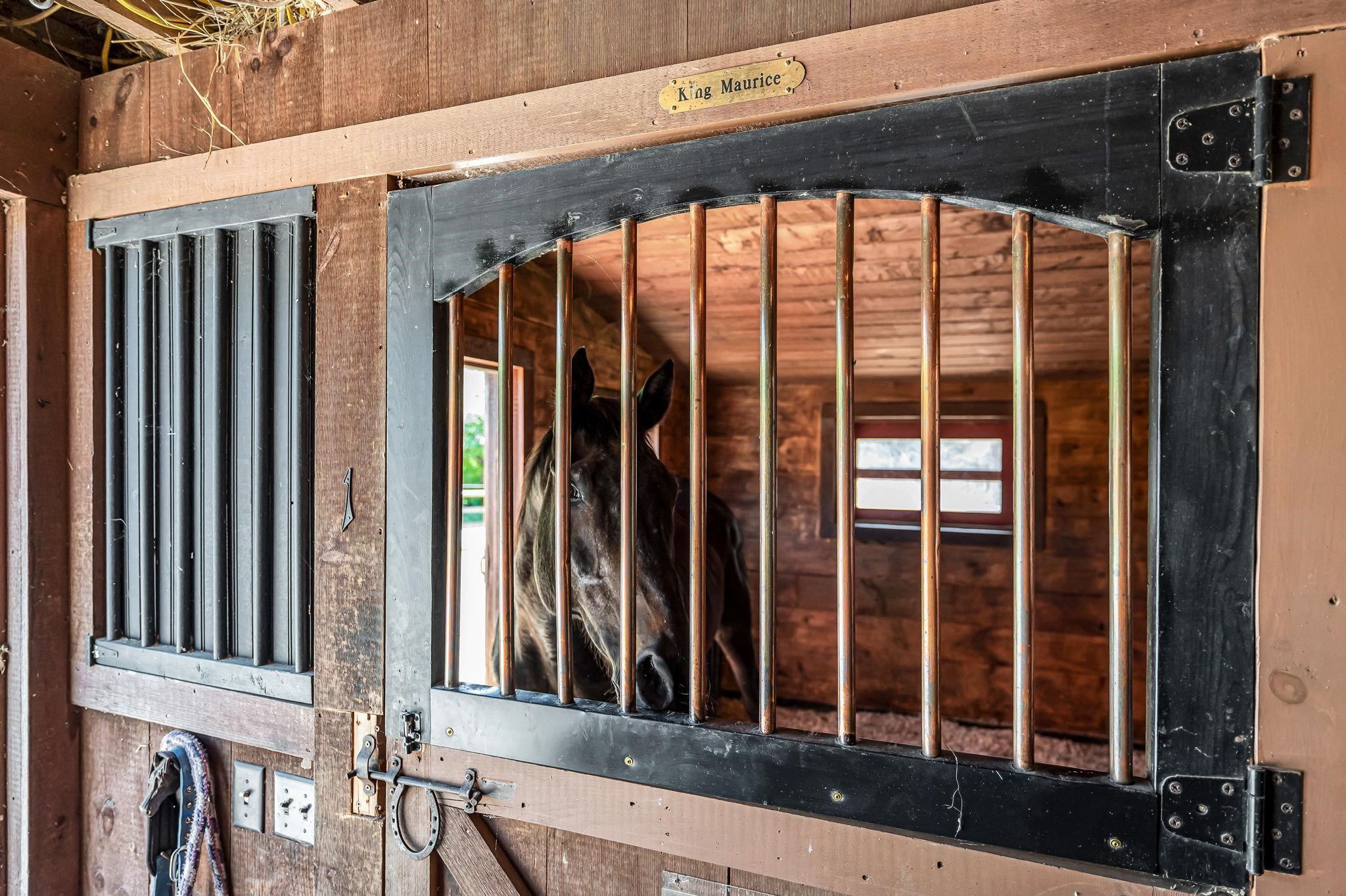 5825 Highway 30 Townshend, VT 05359 - Photo 42 of 55