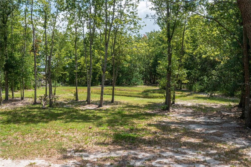 15079 Brahma Road Polk City, FL 33868 - Photo 34 of 40 a view of a yard with a tree