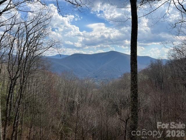399 Bent Tree Road Maggie Valley, NC 28751 - Photo 2 of 48