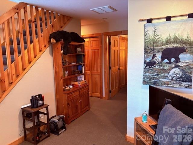399 Bent Tree Road Maggie Valley, NC 28751 - Photo 32 of 48 a view of walk in closet with clothes and shoes