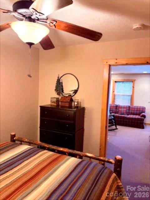 399 Bent Tree Road Maggie Valley, NC 28751 - Photo 35 of 48 a bedroom with a bed and a mirror