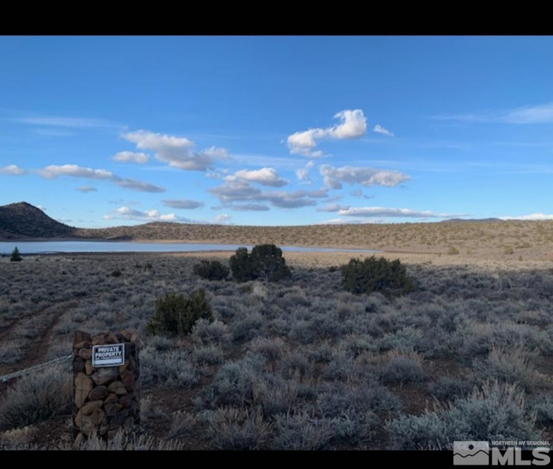 3500 Dry Lake Road Reno, NV 89521 - Photo 4 of 5 a view of a lake in middle of forest