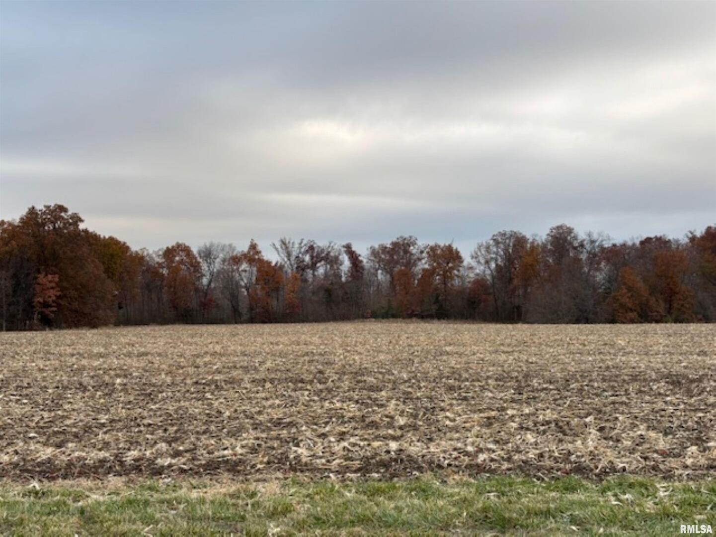 A Alma Hatchery Road Odin, IL 62870 - Photo 1 of 3