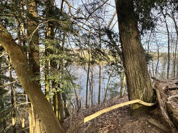 $85,000 | V/l South Teal Lane, Newaygo, MI 49337