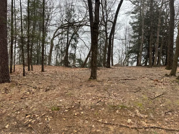 $85,000 | V/l South Teal Lane, Newaygo, MI 49337