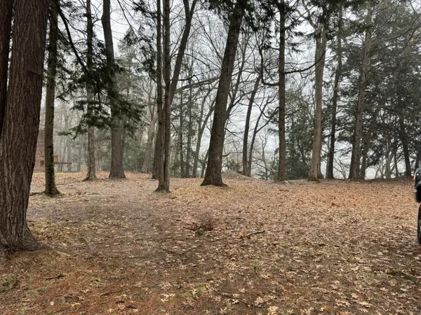 $85,000 | V/l South Teal Lane, Newaygo, MI 49337