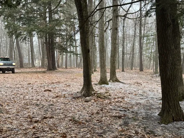 $85,000 | V/l South Teal Lane, Newaygo, MI 49337