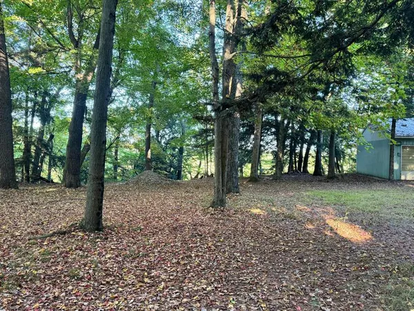 $85,000 | V/l South Teal Lane, Newaygo, MI 49337