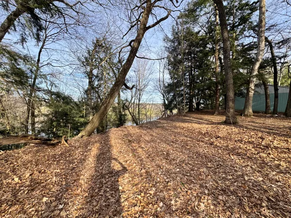 $85,000 | V/l South Teal Lane, Newaygo, MI 49337