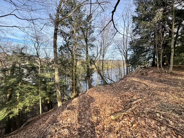 $85,000 | V/l South Teal Lane, Newaygo, MI 49337