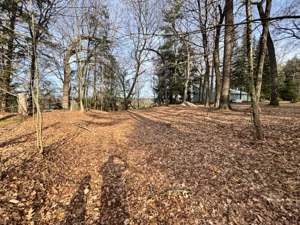 $85,000 | V/l South Teal Lane, Newaygo, MI 49337