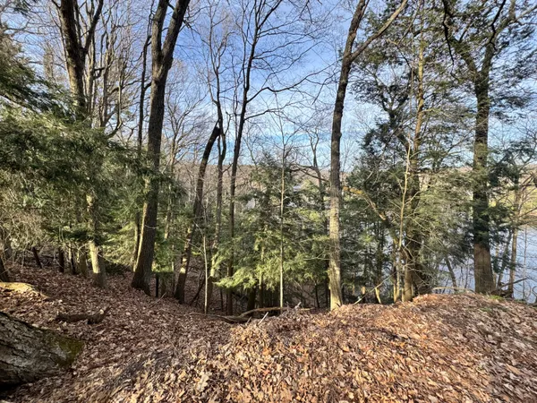 $85,000 | V/l South Teal Lane, Newaygo, MI 49337
