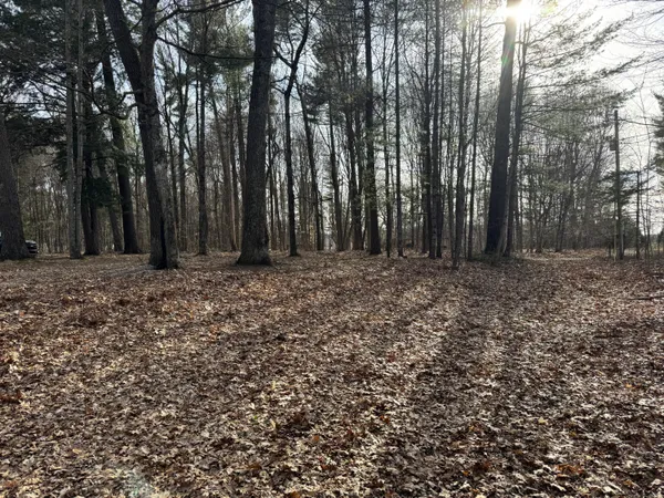 $85,000 | V/l South Teal Lane, Newaygo, MI 49337