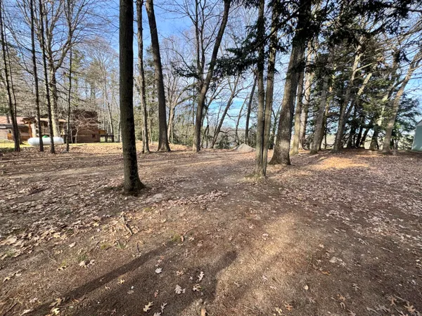 $85,000 | V/l South Teal Lane, Newaygo, MI 49337