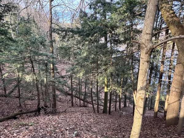 $85,000 | V/l South Teal Lane, Newaygo, MI 49337