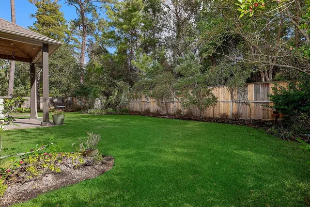 a view of a backyard with plants and large trees
