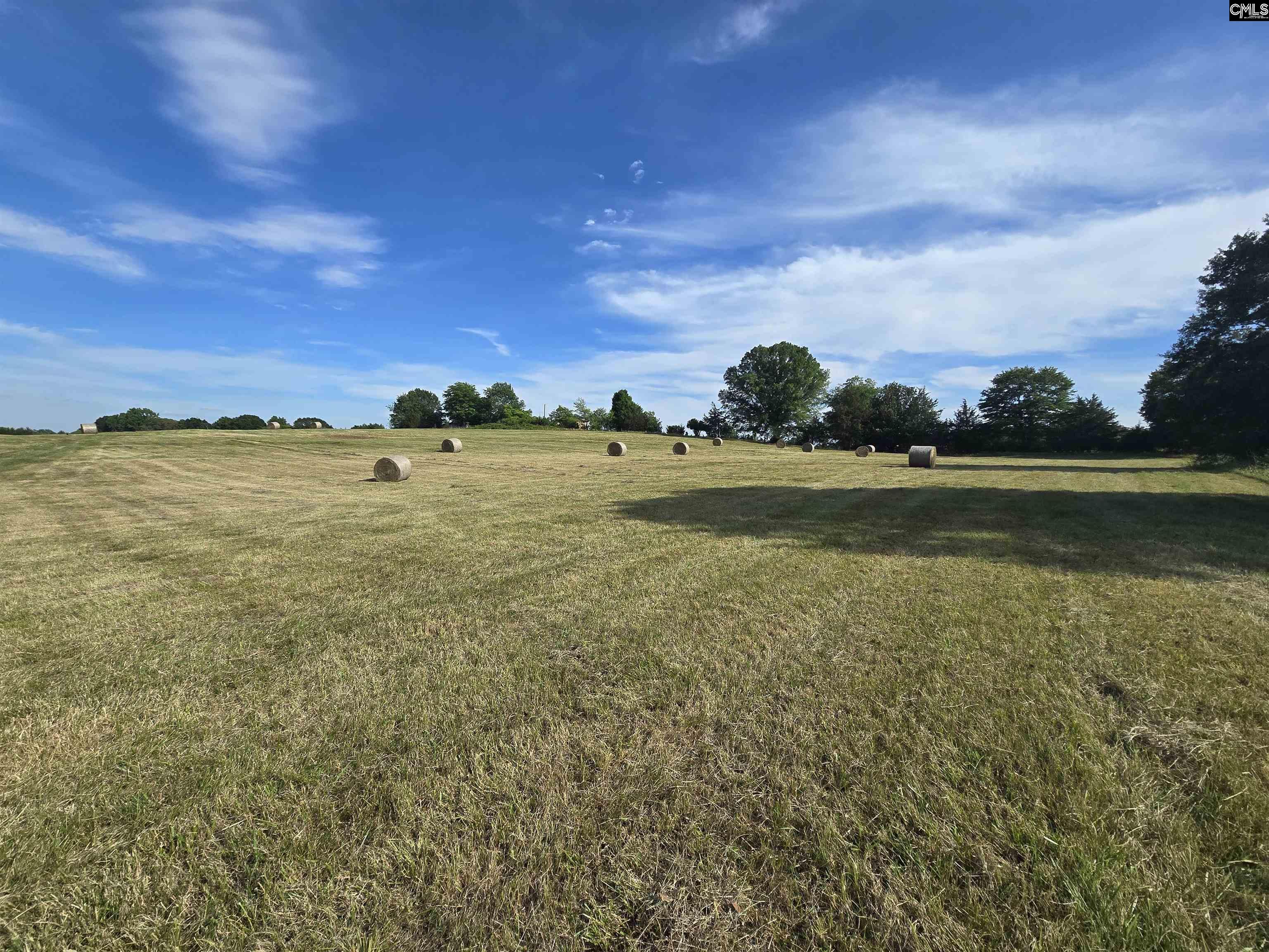 542 Pea Ridge Highway Jonesville, SC 29353 - Photo 59 of 72