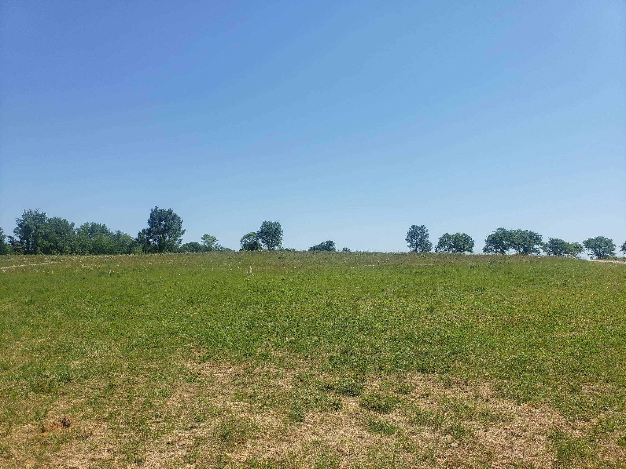 2 A Butler Road Columbia, TN 38401 - Photo 1 of 5 a view of field with ocean