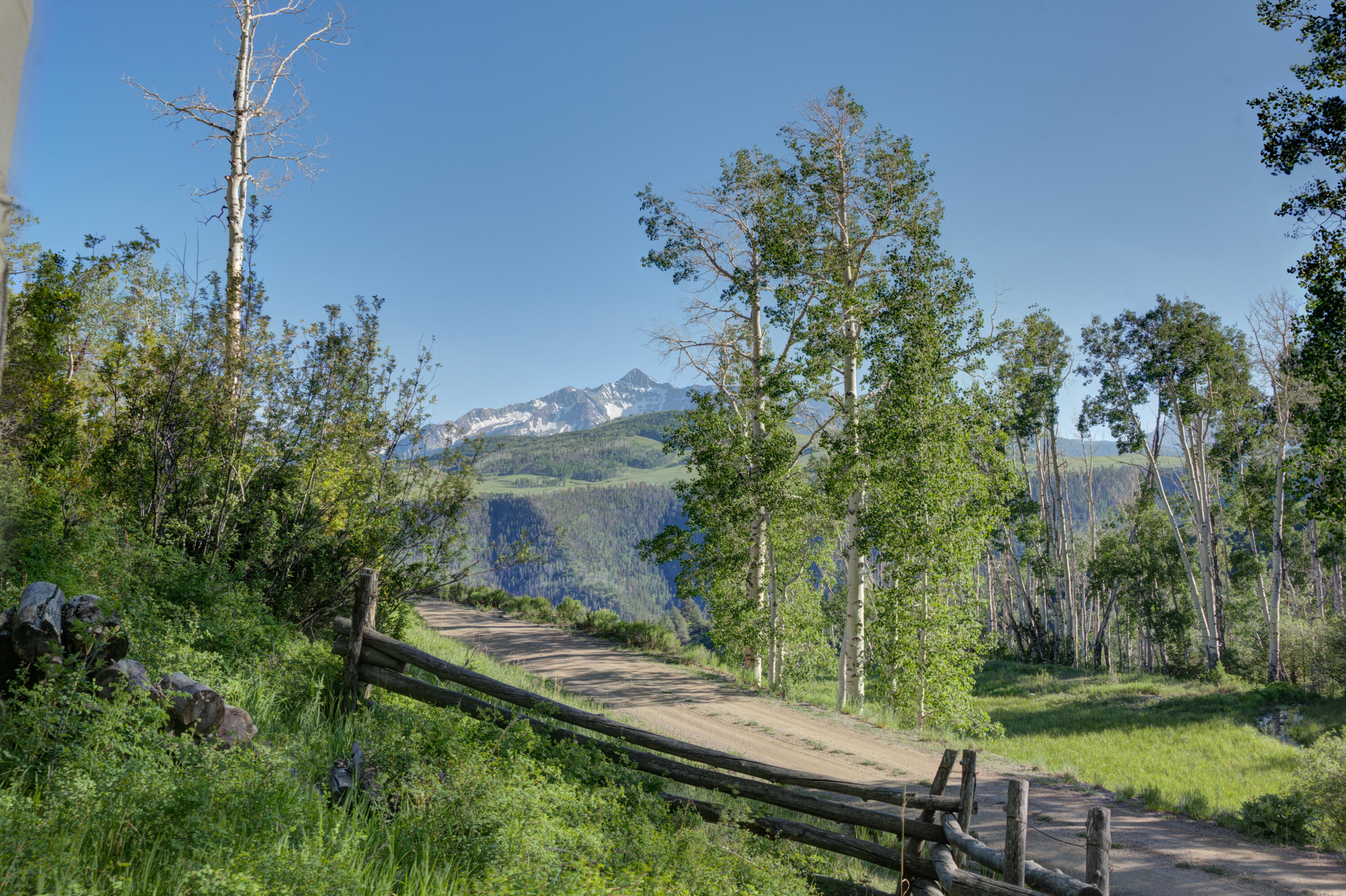 6131 Last Dollar Road Telluride, CO 81435 - Photo 5 of 86 P1441656_57_58_59_60_Natural