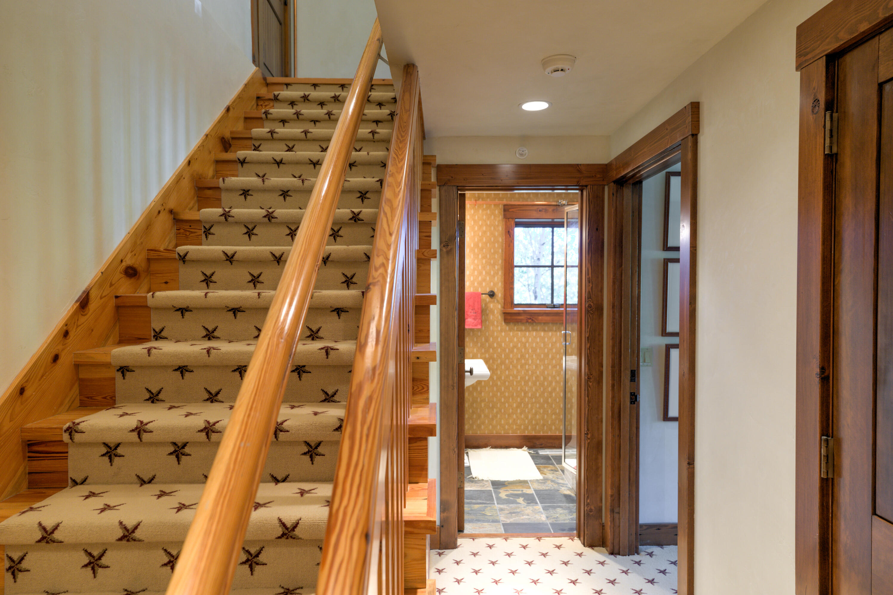 6131 Last Dollar Road Telluride, CO 81435 - Photo 51 of 86 P1405846_47_48_49_50_51_52_Balanced