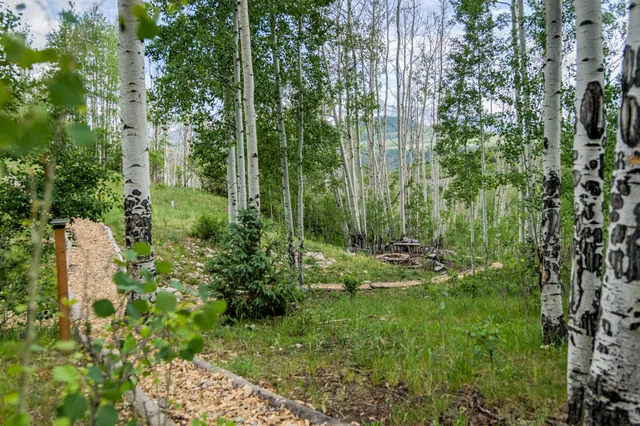 $11,950,000 | 6131 Last Dollar Road, Telluride, CO 81435