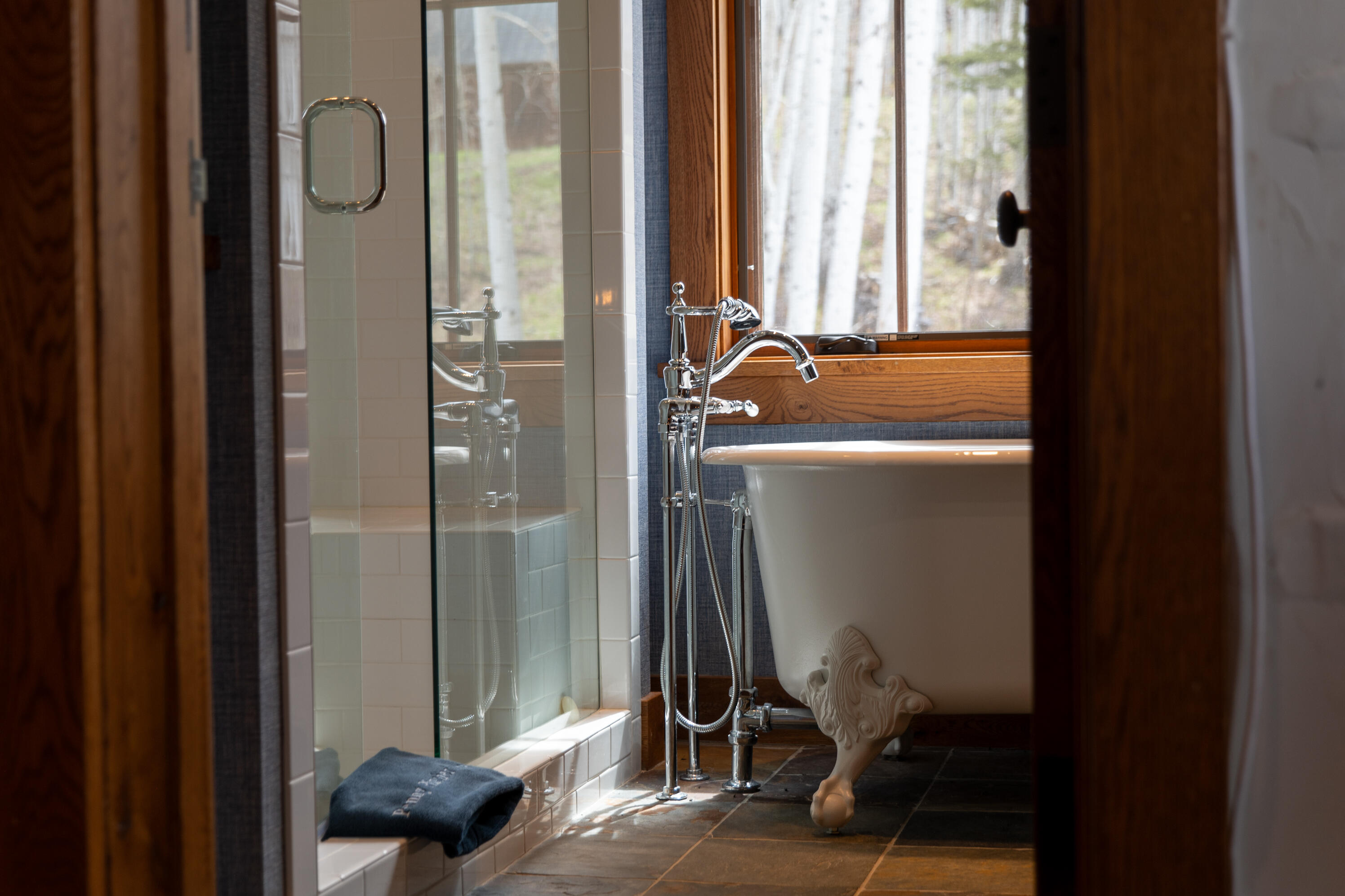 6131 Last Dollar Road Telluride, CO 81435 - Photo 75 of 86 P1370809