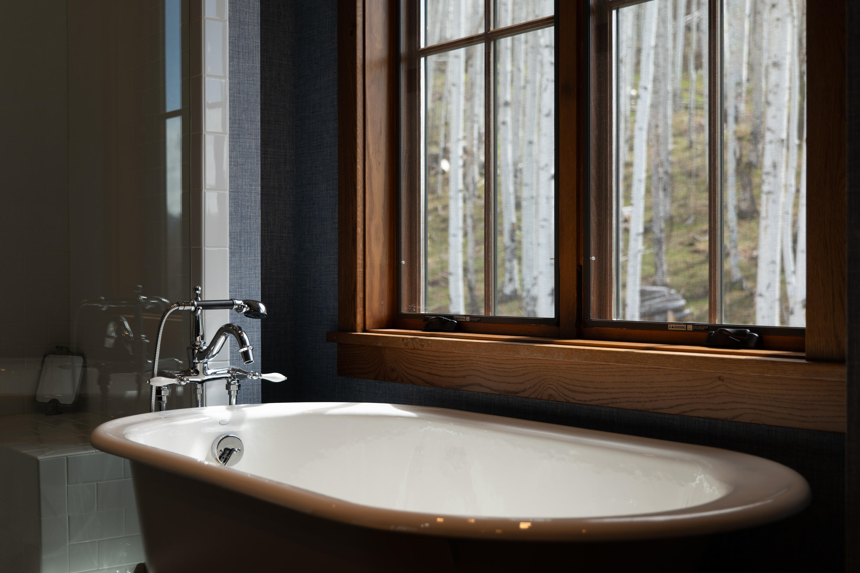 6131 Last Dollar Road Telluride, CO 81435 - Photo 76 of 86 P1370814