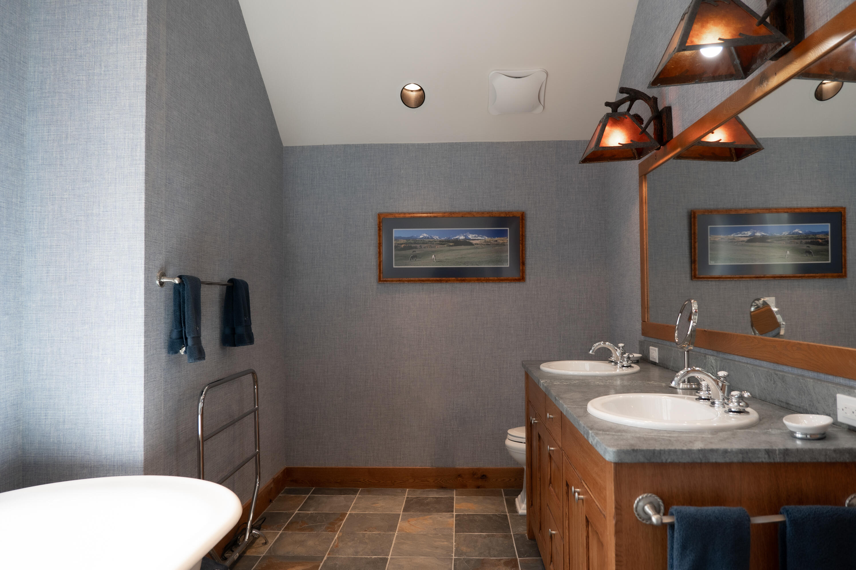 6131 Last Dollar Road Telluride, CO 81435 - Photo 79 of 86 a bathroom with a toilet a sink and mirror