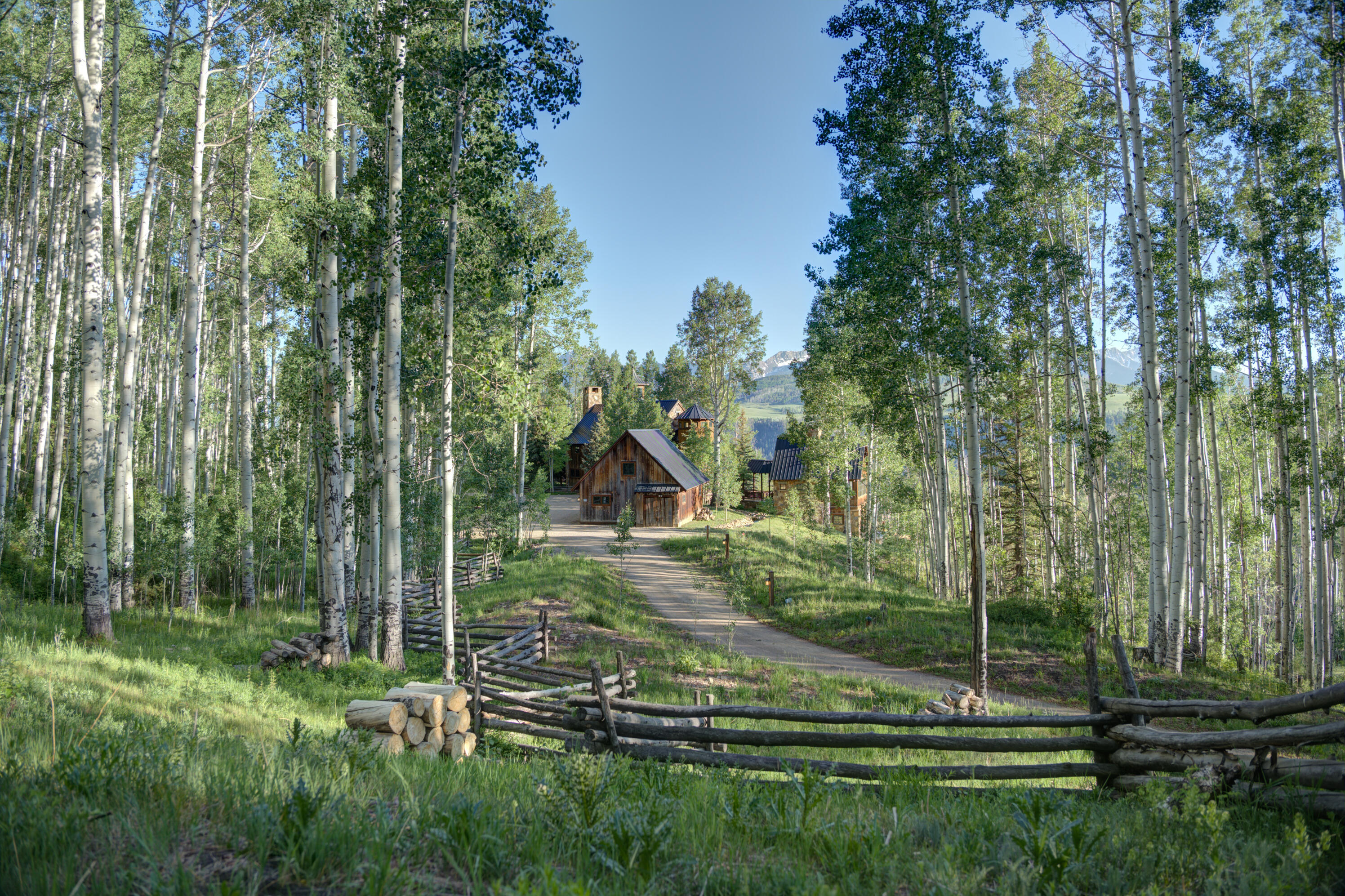 6131 Last Dollar Road Telluride, CO 81435 - Photo 10 of 86 P1441976_77_78_79_80_Natural