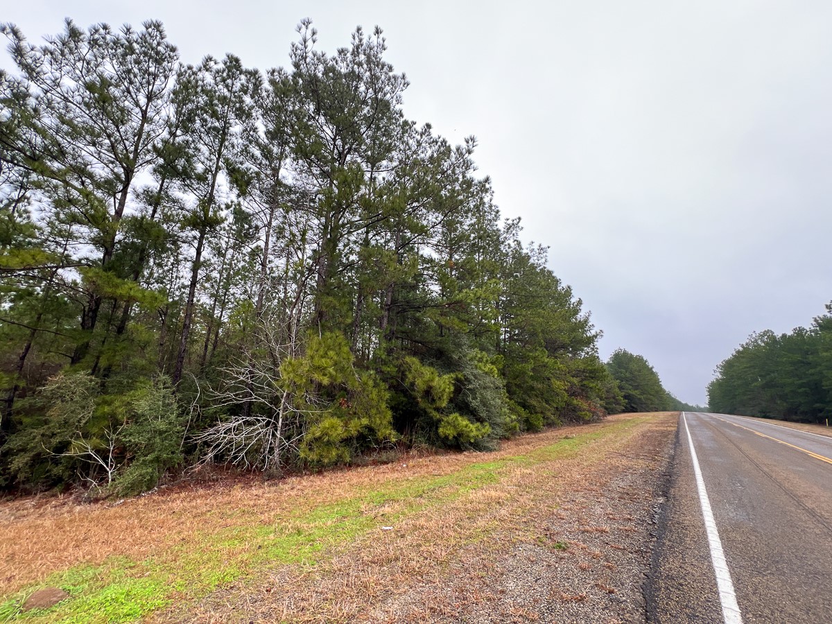 4 Rec Road 255 Colmesneil, TX 75938 - Photo 12 of 19