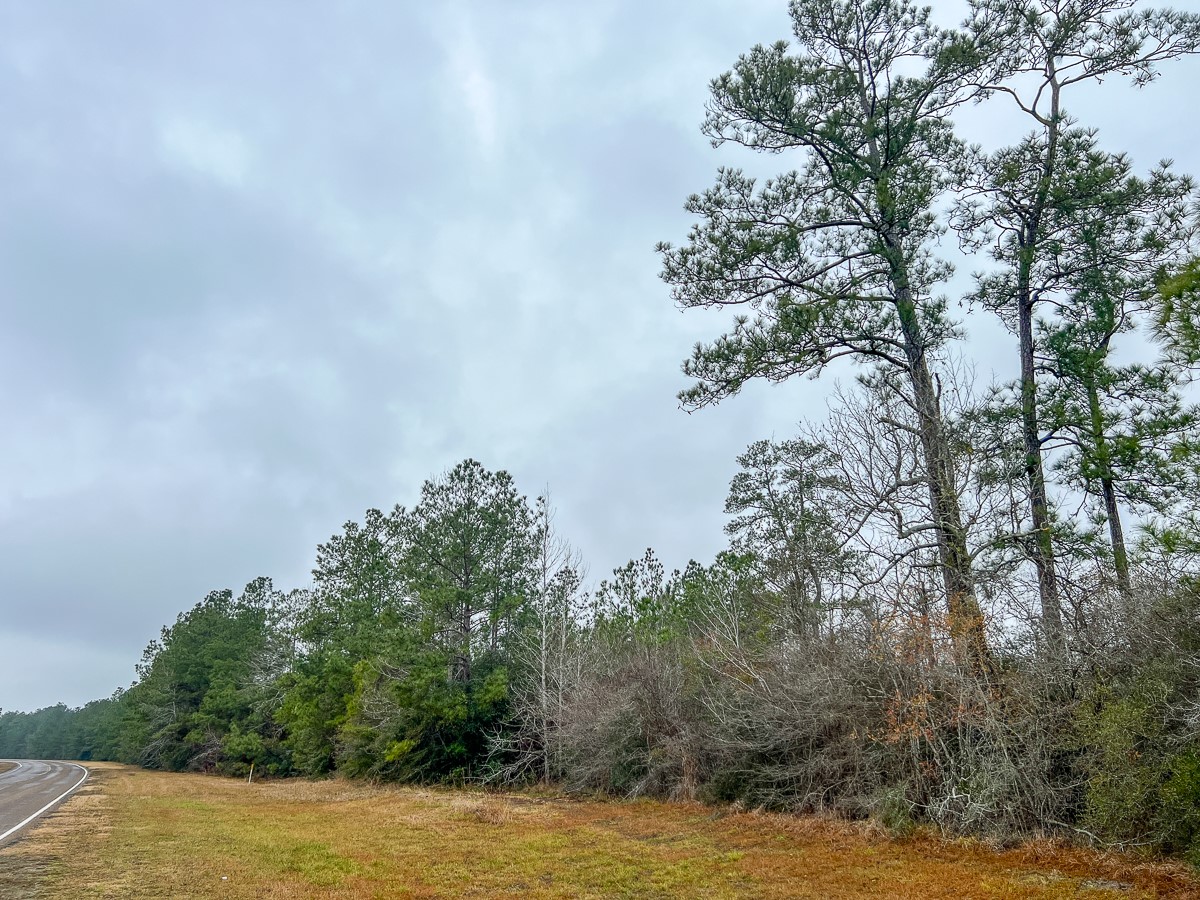 4 Rec Road 255 Colmesneil, TX 75938 - Photo 5 of 19