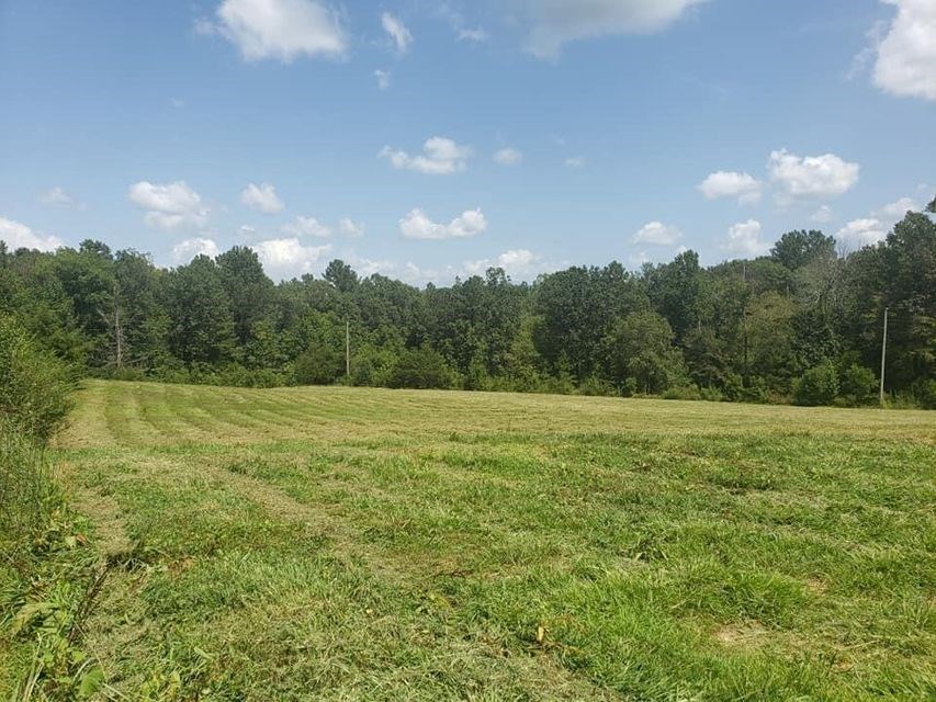 3250 Ballground Road Chatsworth, GA 30705 - Photo 9 of 12 Gallery Image 9