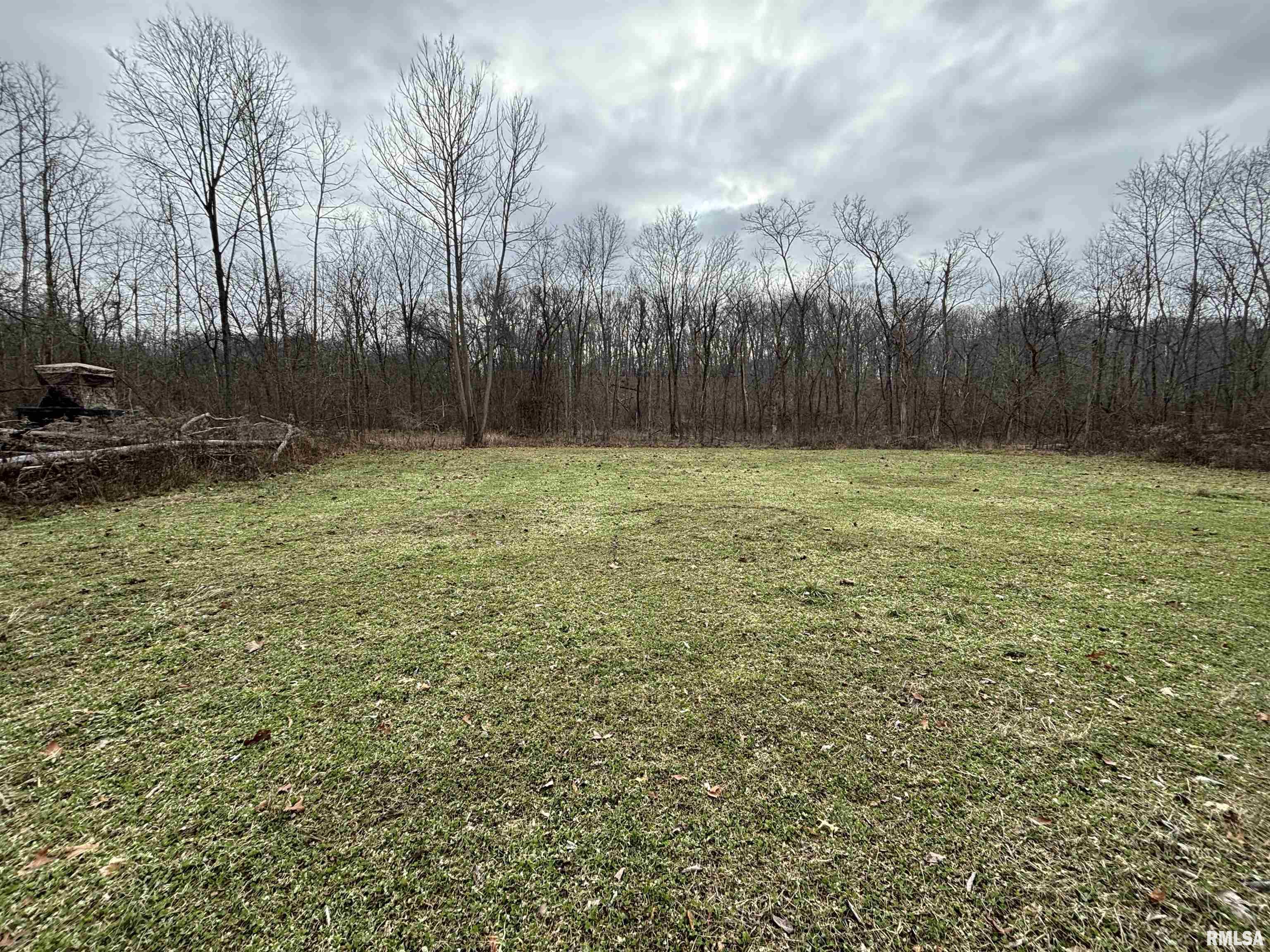 0 County Road 1900 Road East Farina, IL 62838 - Photo 12 of 27 Gallery Image 12